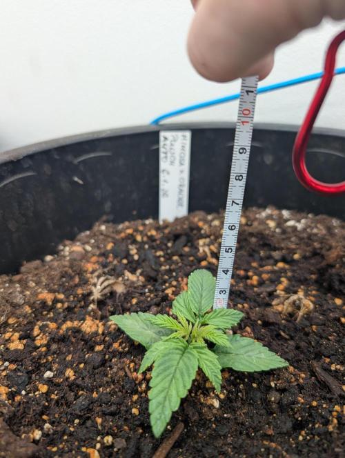 Moje po druheee😁🌱. Week 2