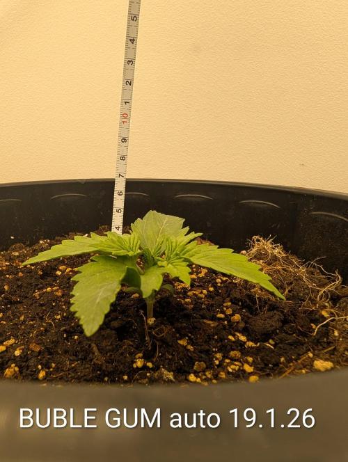 Moje po druheee😁🌱. Week 2