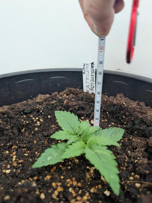 Moje po druheee😁🌱. Week 2