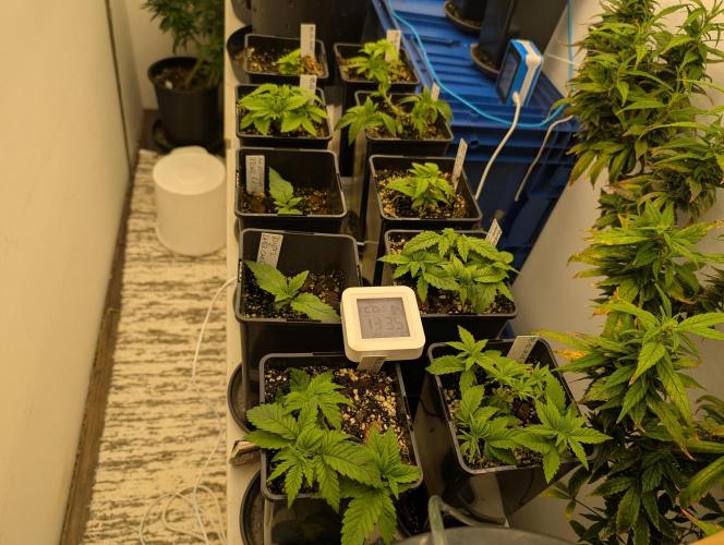 Moje po druheee😁🌱. Week 4