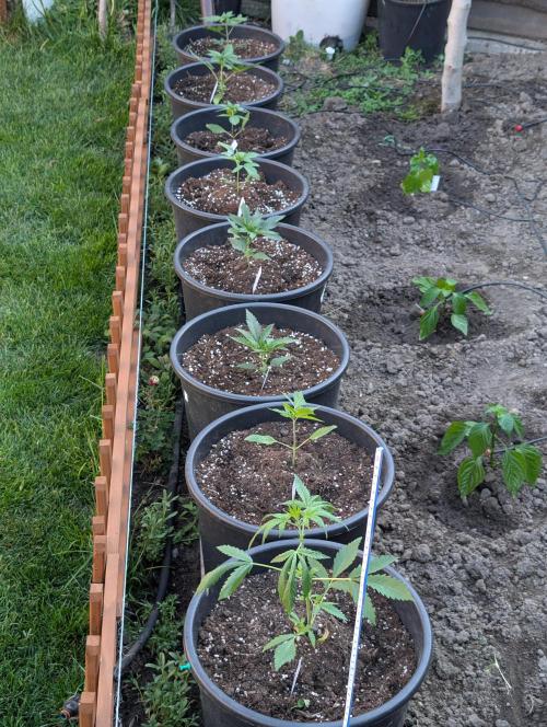 Outdoor 🚗🌞🌱🌱. Week 4