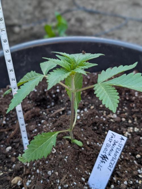Outdoor 🚗🌞🌱🌱. Week 4