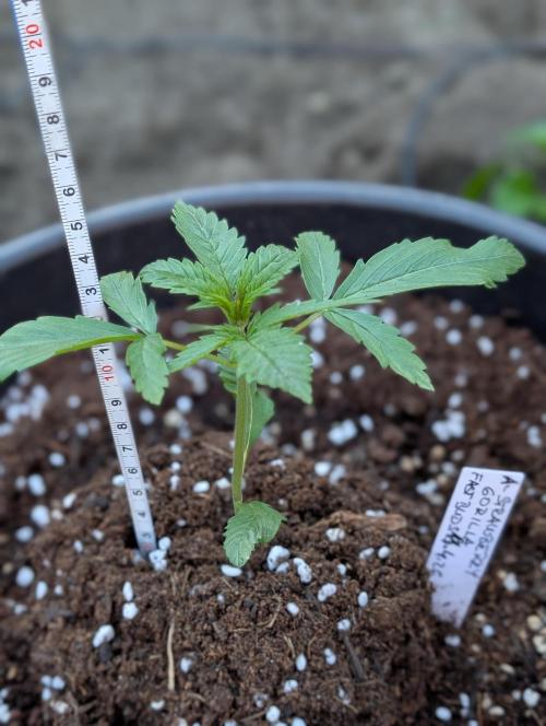 Outdoor 🚗🌞🌱🌱. Week 4