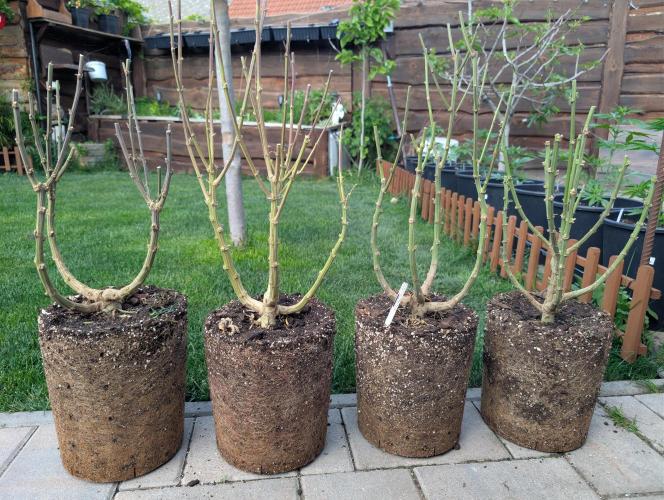 Moje po druheee😁🌱. Week 21