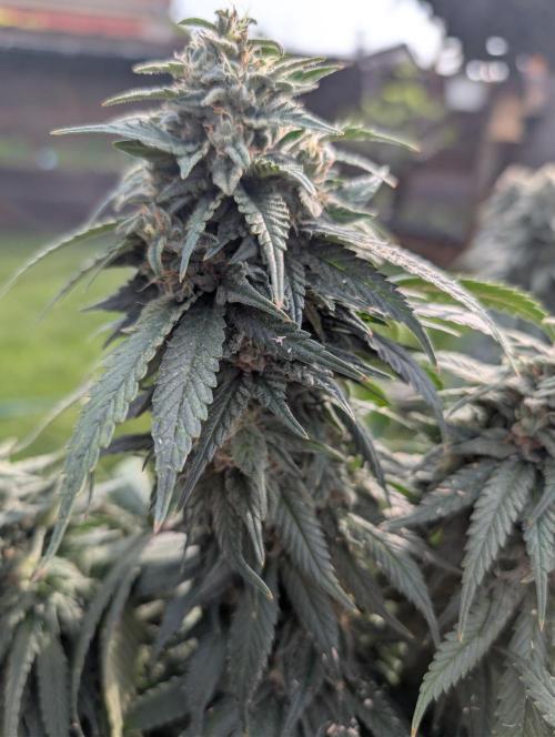 Moje po druheee😁🌱. Week 21
