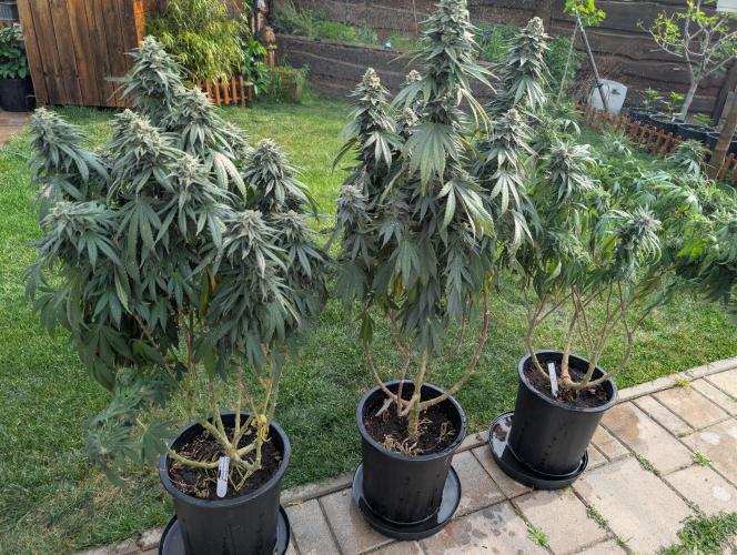Moje po druheee😁🌱. Week 21