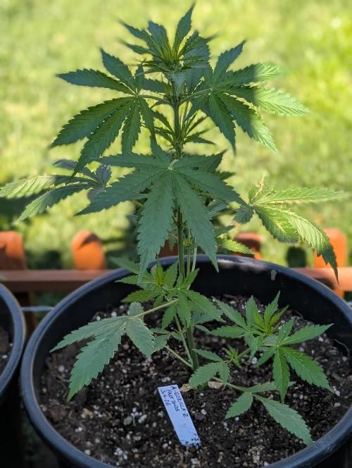 Outdoor 🚗🌞🌱🌱. Week 5