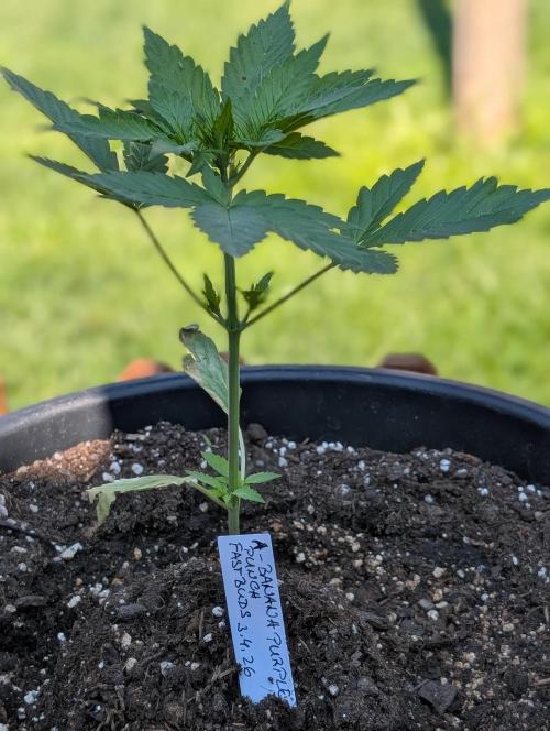 Outdoor 🚗🌞🌱🌱. Week 5
