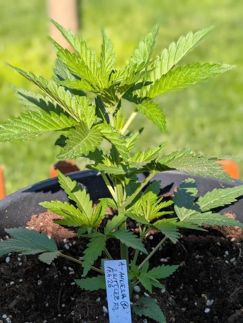 Outdoor 🚗🌞🌱🌱. Week 5