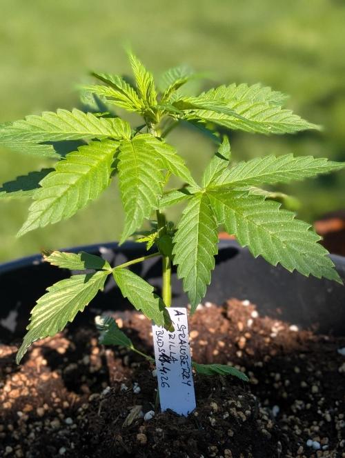 Outdoor 🚗🌞🌱🌱. Week 5