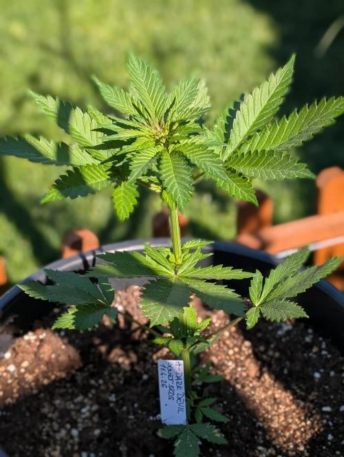 Outdoor 🚗🌞🌱🌱. Week 5