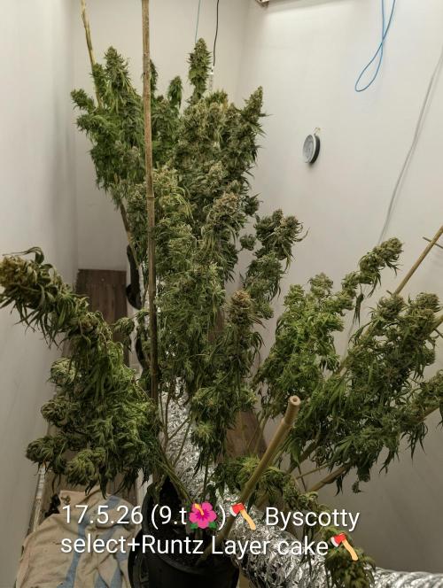 Moje po druheee😁🌱. Week 22