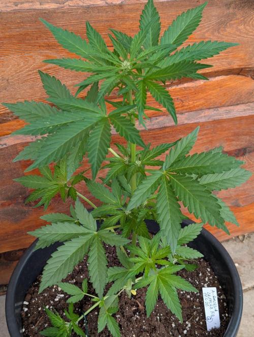 Outdoor 🚗🌞🌱🌱. Week 6