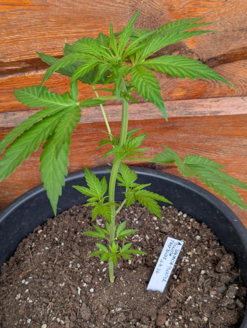 Outdoor 🚗🌞🌱🌱. Week 6