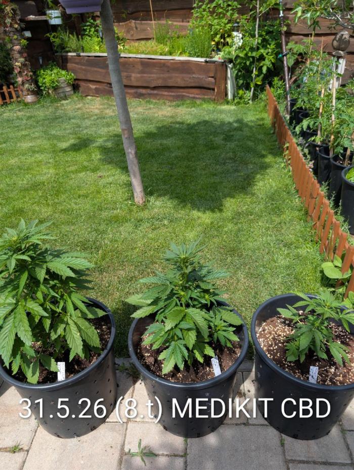 CBDečko Outdoor💚🌱. Week 5