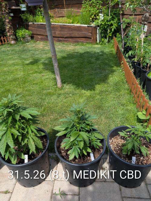 Medikit Auto . Week 5