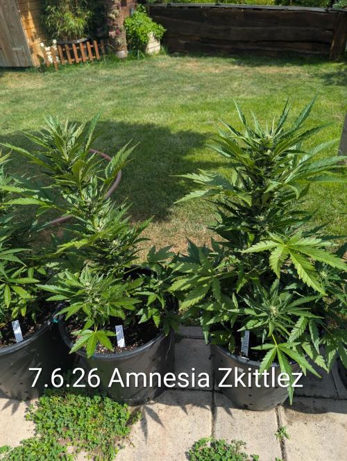 Outdoor 🚗🌞🌱🌱. Week 9