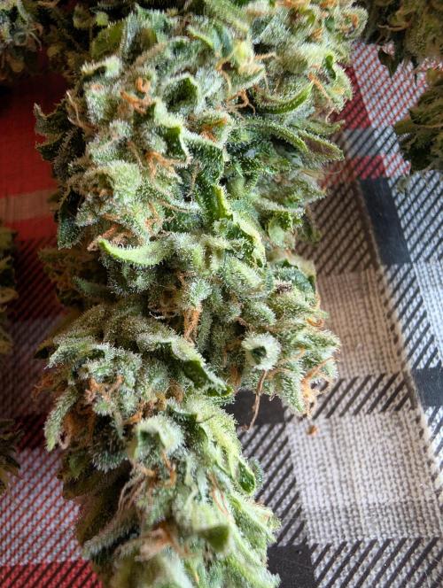 Outdoor 🚗🌞🌱🌱. Week 10