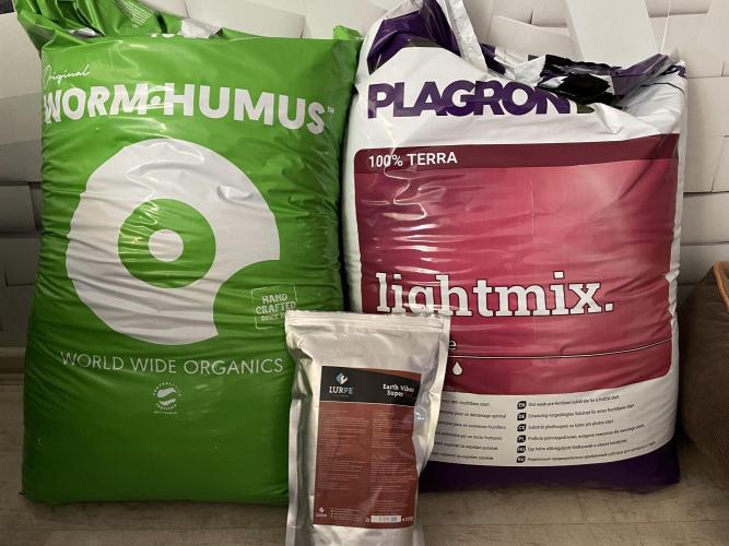 Living soil. Week 0 - 80% Lightmix 
20% Worm humus