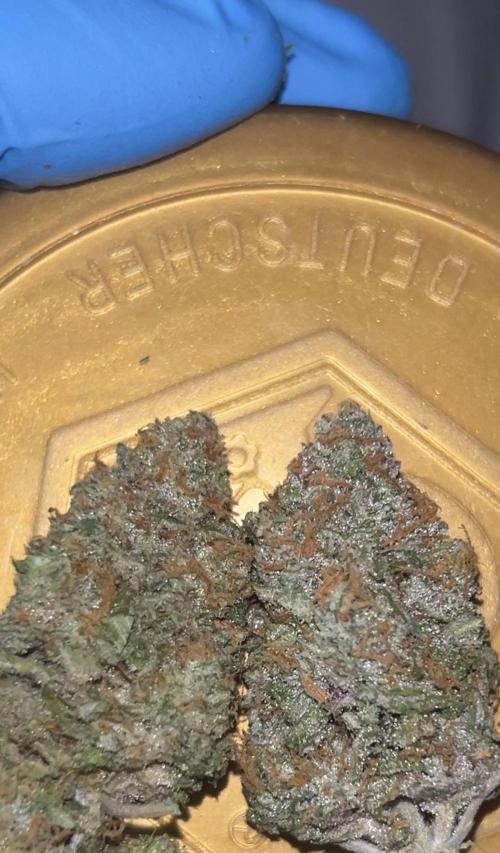 Cherry Cola RF3 auto. Week 11