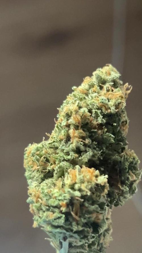 Cherry Cola RF3 auto