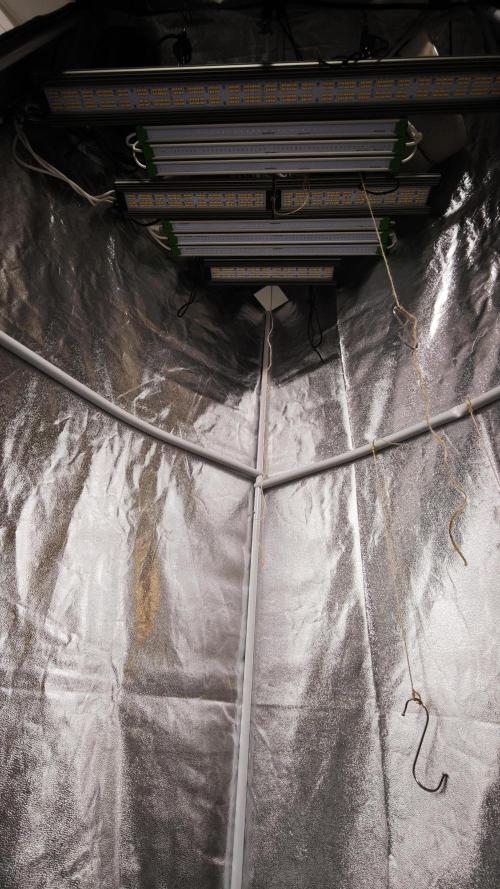 Eck Oase. Week 1 - Das Setup vom großen Zelten 