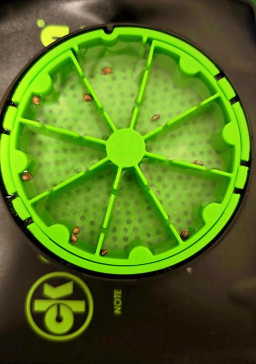 Hydro Experimente. Week 0 - Cannakan geladen und bereit für Wachstum