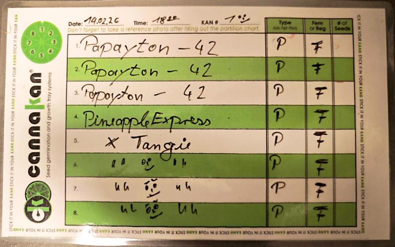Hydro Experimente. Week 0