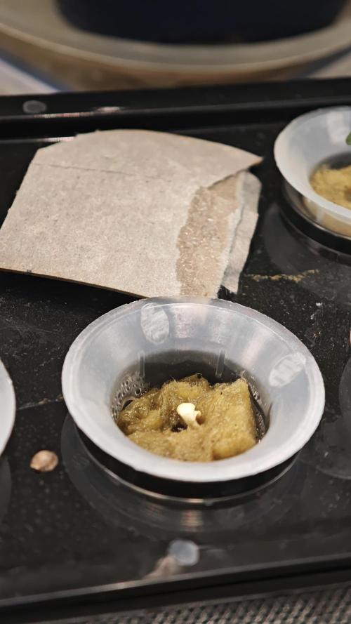 Hydro Experimente. Week 1