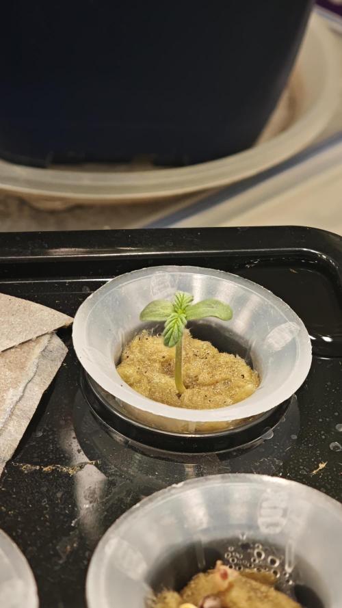 Hydro Experimente. Week 1