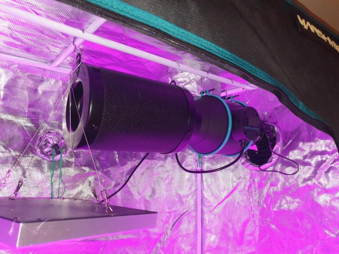 MilkyWay F1 RQS. Week 5