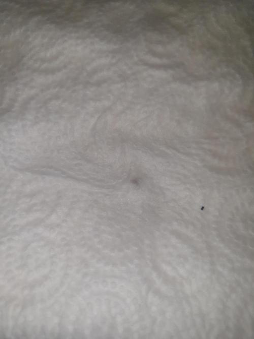 Strawberry Banana Auto. Week 0