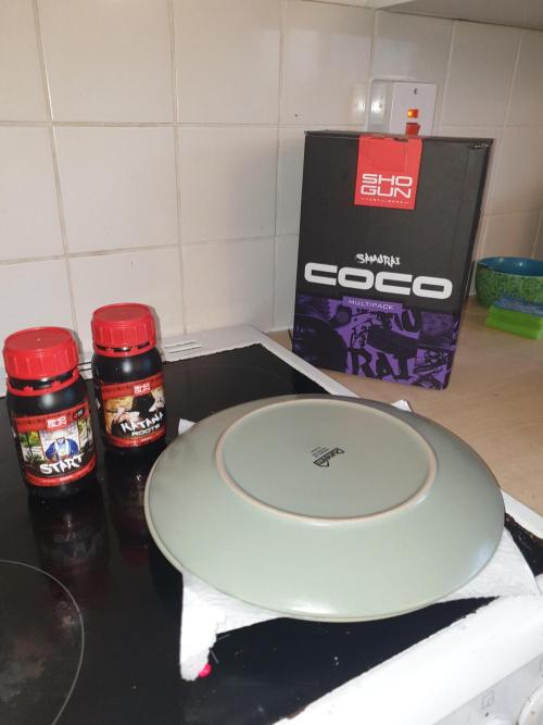 Strawberry Banana Auto. Week 0