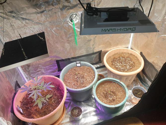 MilkyWay F1 RQS. Week 6 - Added marshydro ts1000 on 27th jan 