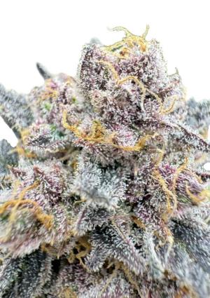 Comment by Hundreds photo #1