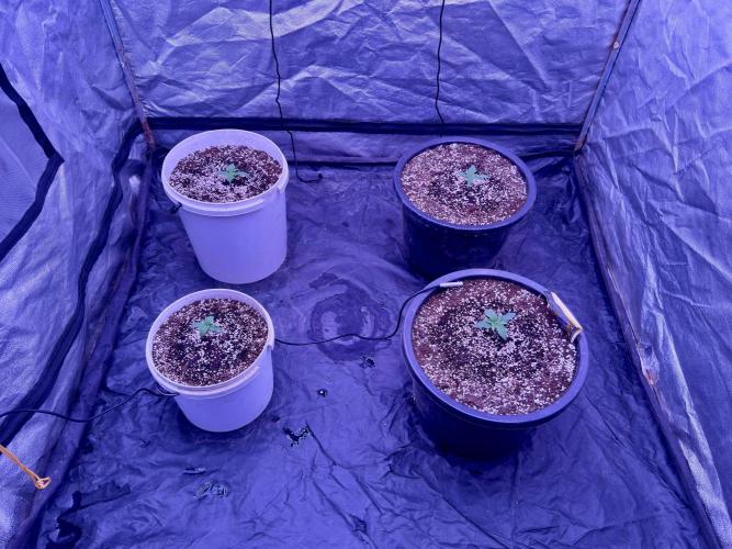 Lektion-1. Week 1