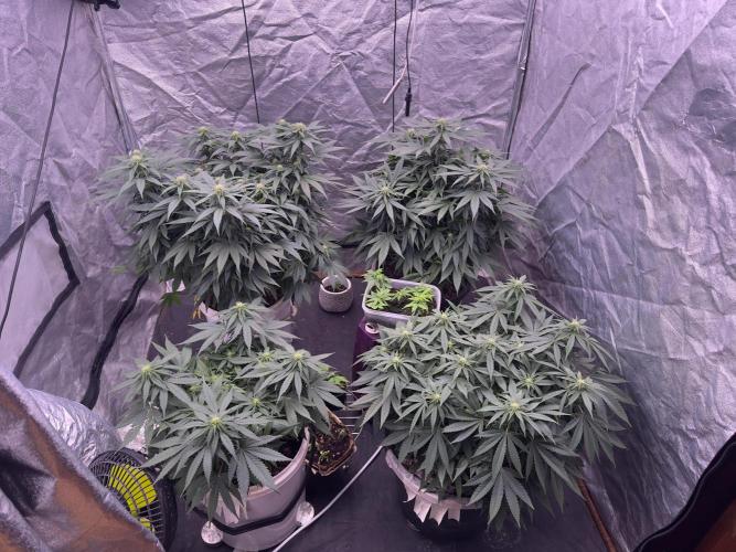 Lektion-1. Week 10