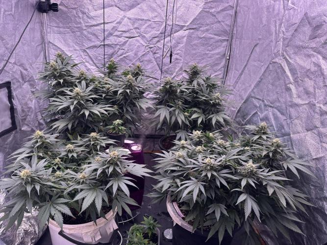 Lektion-1. Week 16