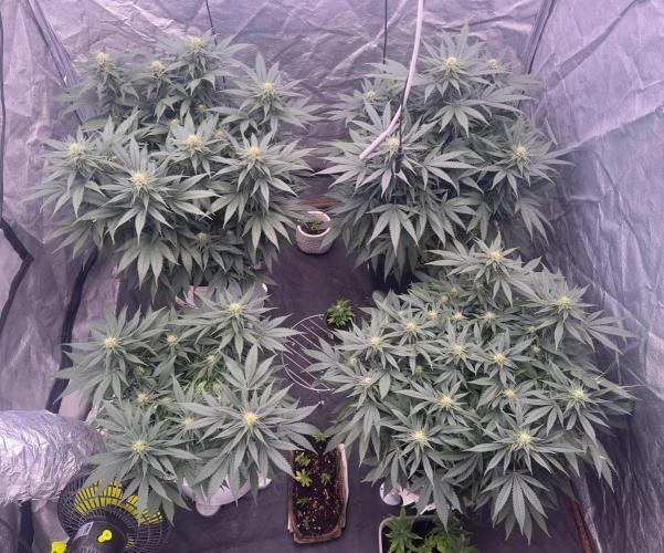 Lektion-1. Week 16