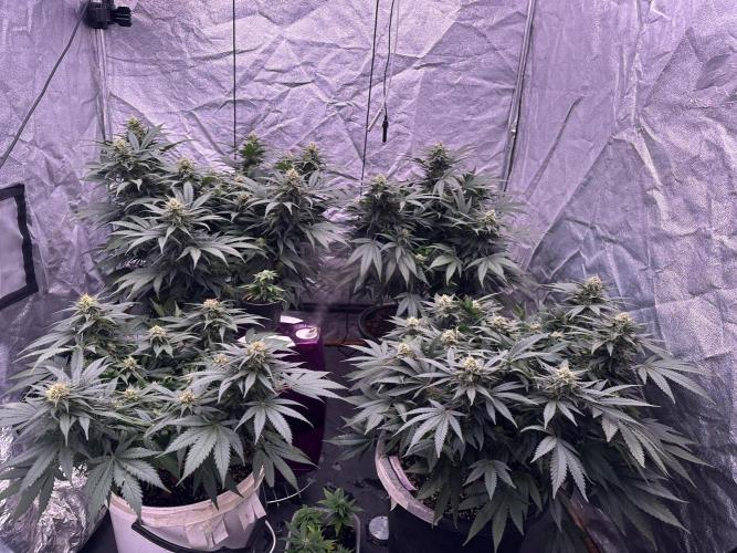 Lektion-1. Week 16