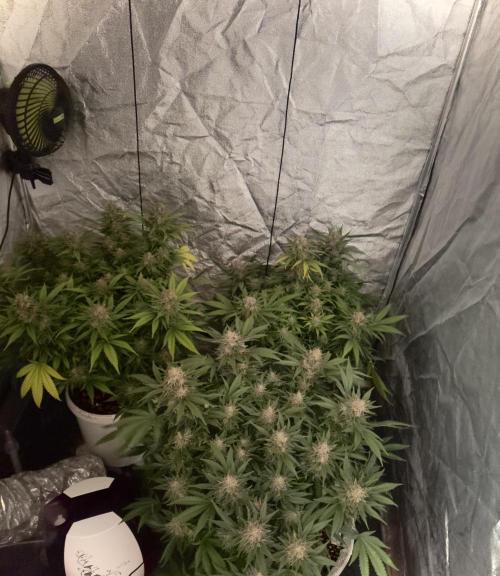 Lektion-1. Week 19