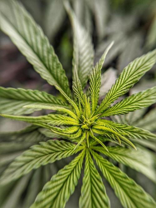 Very first time. Week 7 - W7D7