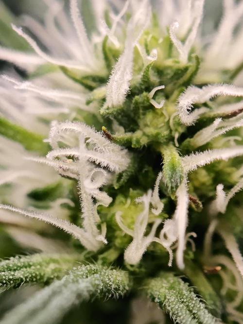 Very first time. Week 9