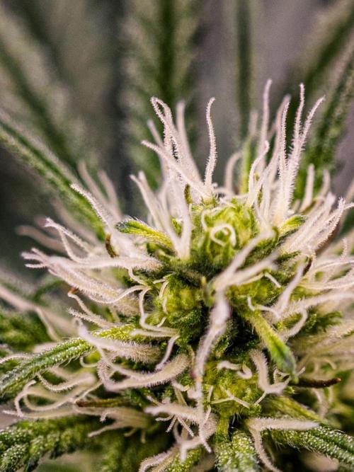 Very first time. Week 9