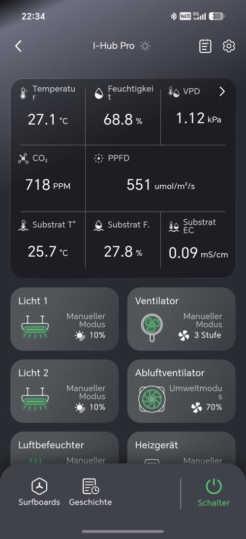 Dosidos. Week 8