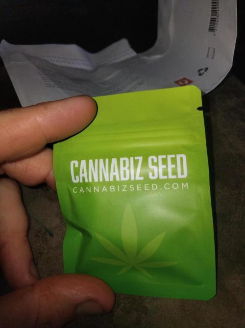 ZkittleZ Scott. Week 0