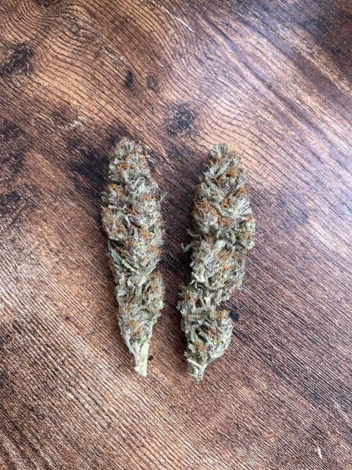 2 Modified Grape + 1 Zkittles. Week 11 - Modified Grape