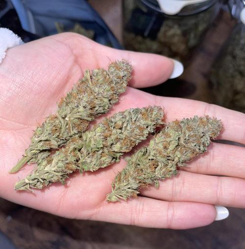 2 Modified Grape + 1 Zkittles. Week 11 - Modified Grape 