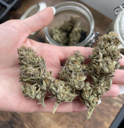 2 Modified Grape + 1 Zkittles. Week 11 - Skittlez 