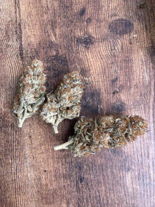2 Modified Grape + 1 Zkittles. Week 11 - 2. Modified Grape 